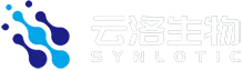 Synlottic Biotech （Shanghai） Co., Ltd.