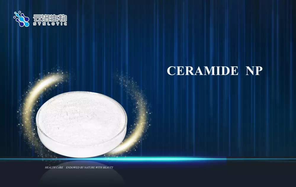Wie unterstützt Ceramide NP die Pflege der Hautbarriere in modernen Kosmetika?
