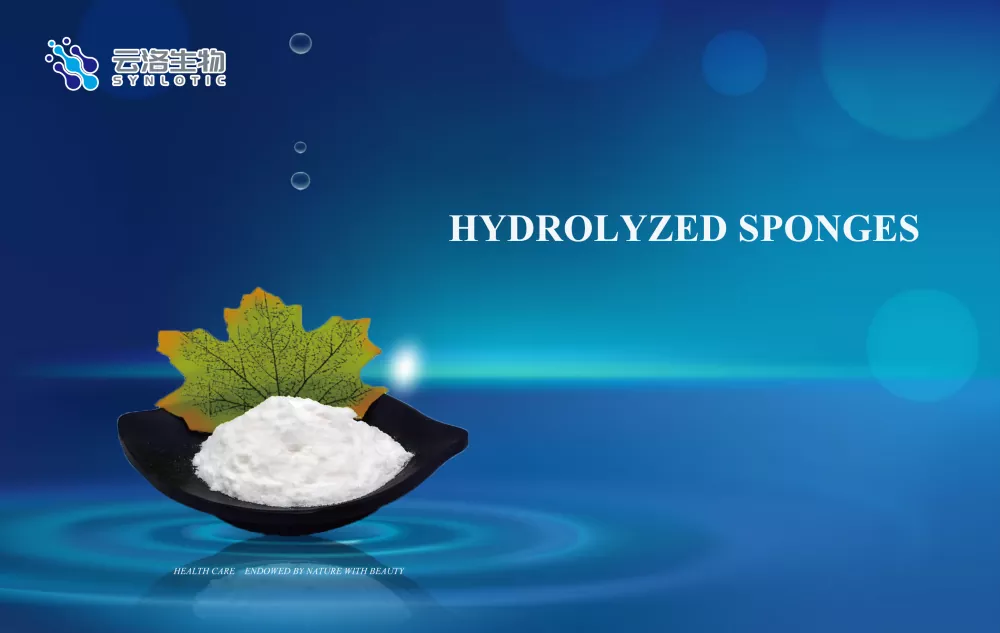 Hydrolysierte Schwämme